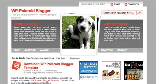 WP-Polaroid Blogger