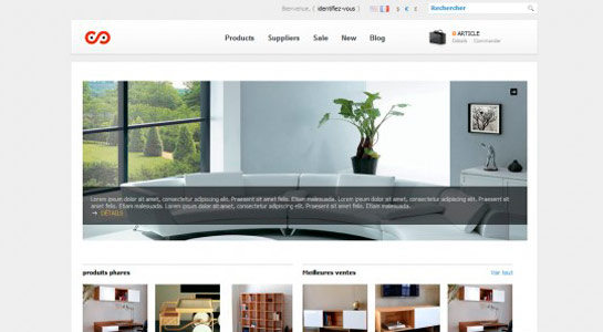 theme prestashop