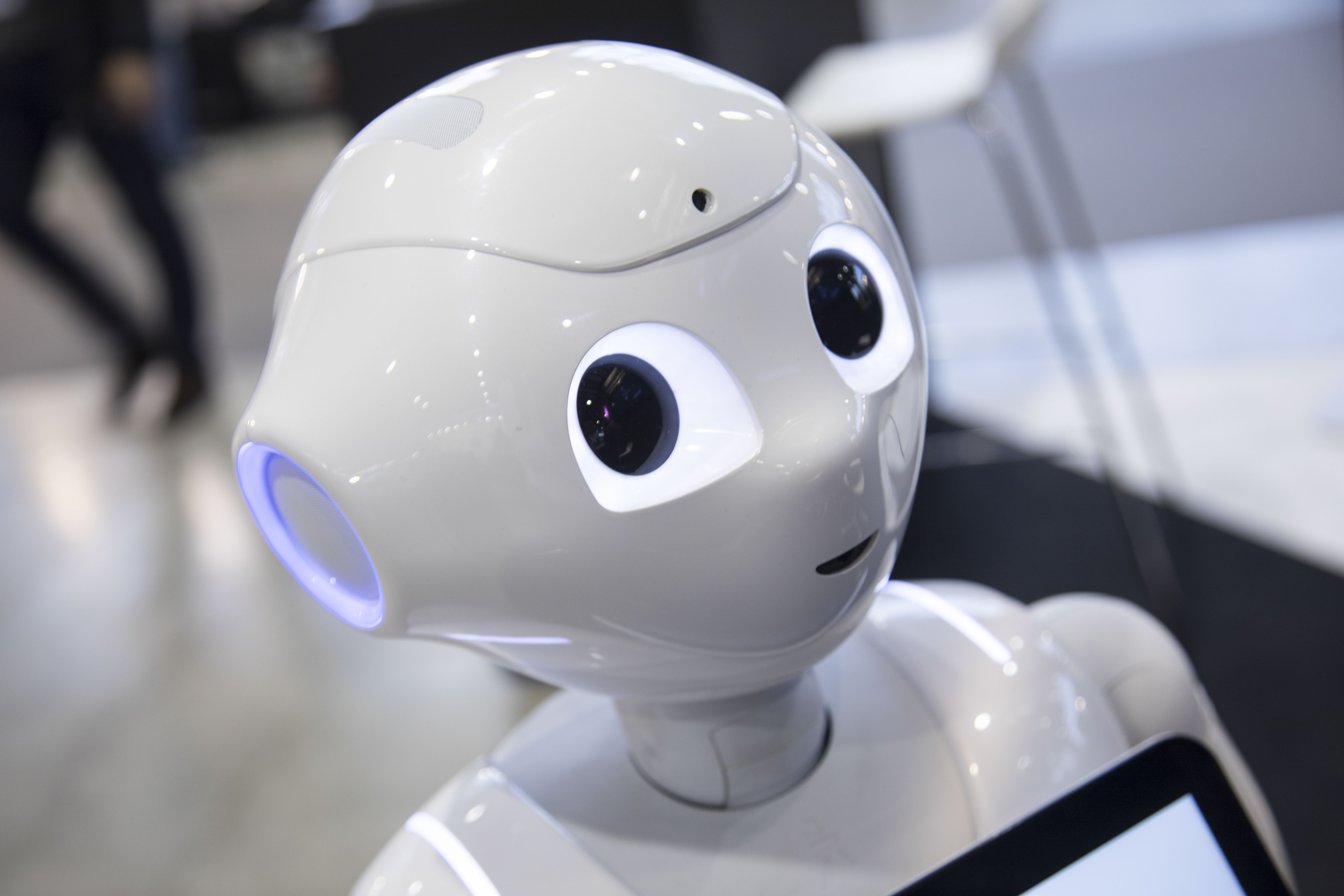 Global Robot Expo así es como evoluciona la especie Nobbot