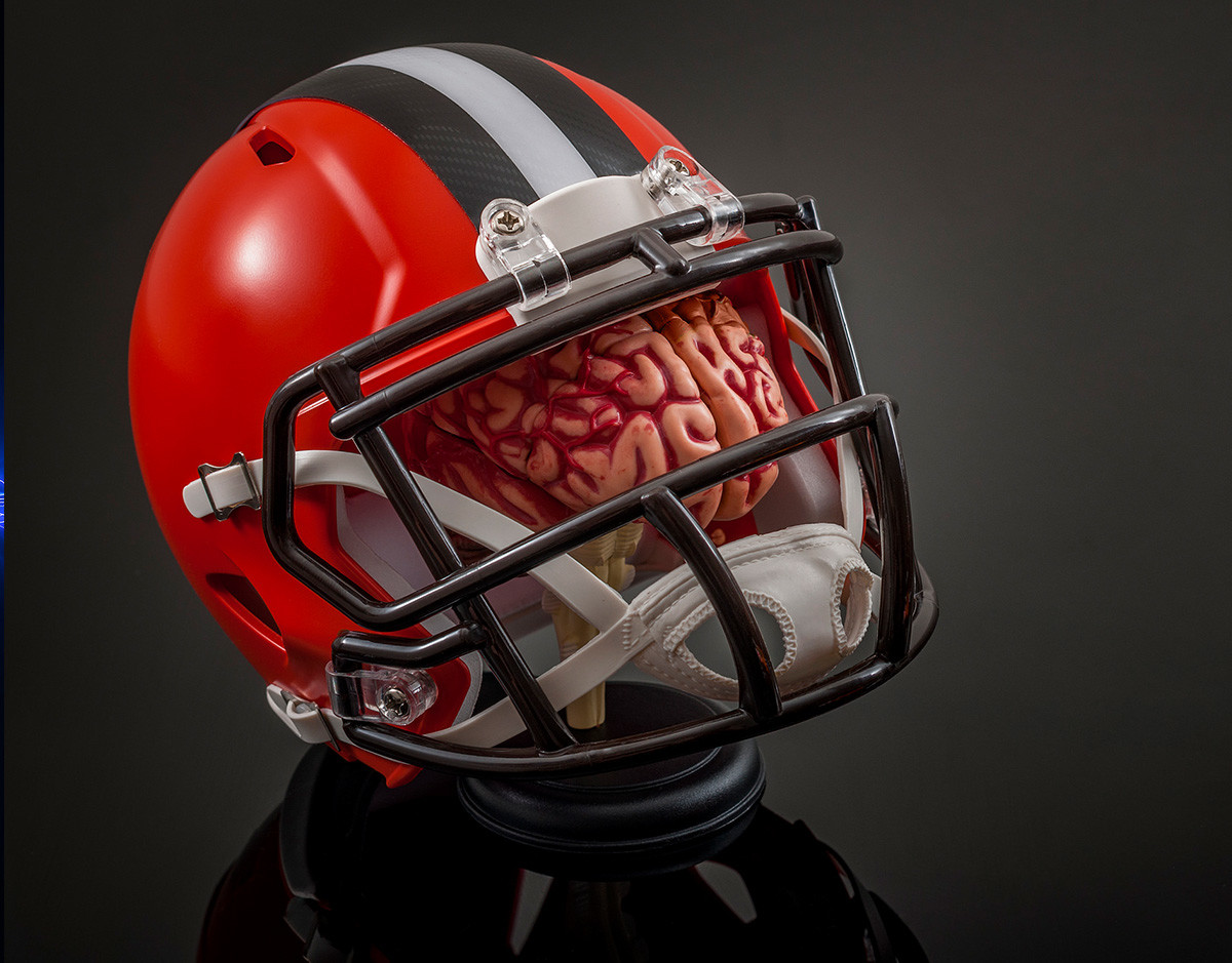 tecnologia-cerebro-online-inmortalidad-museo