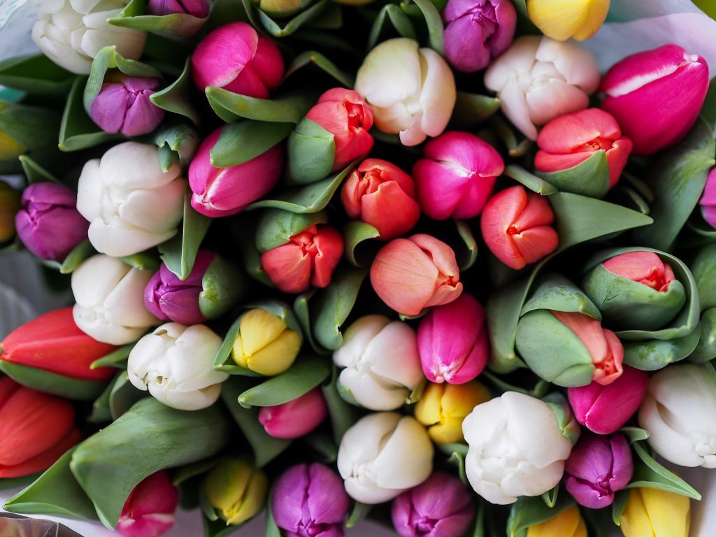 Las mejores aplicaciones para enviar flores a domicilio