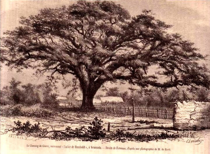 Humboldt saman de guere