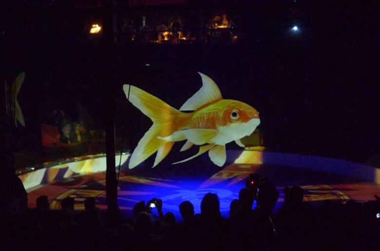 Resultado de imagen de hologramas