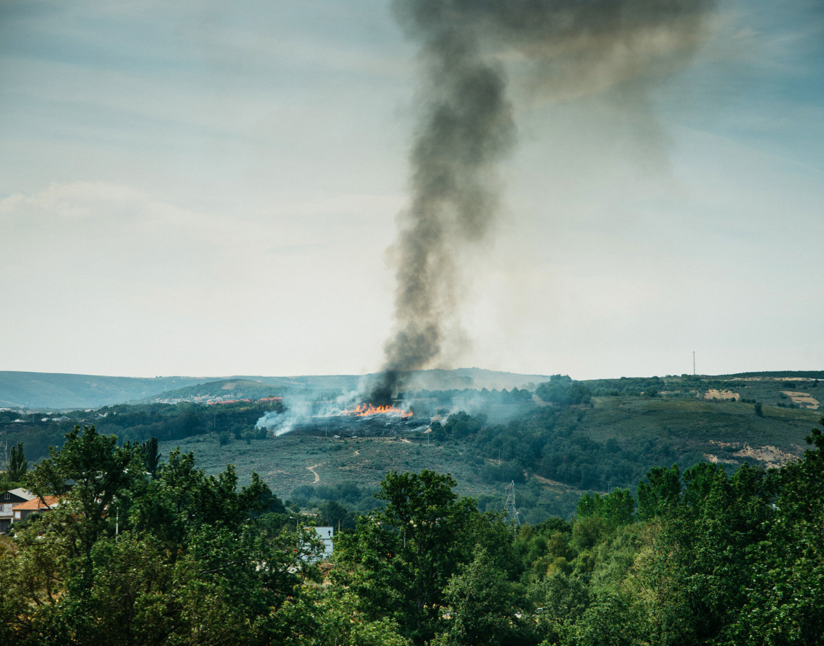 incencio foresta inteligencia artificial vasco correia