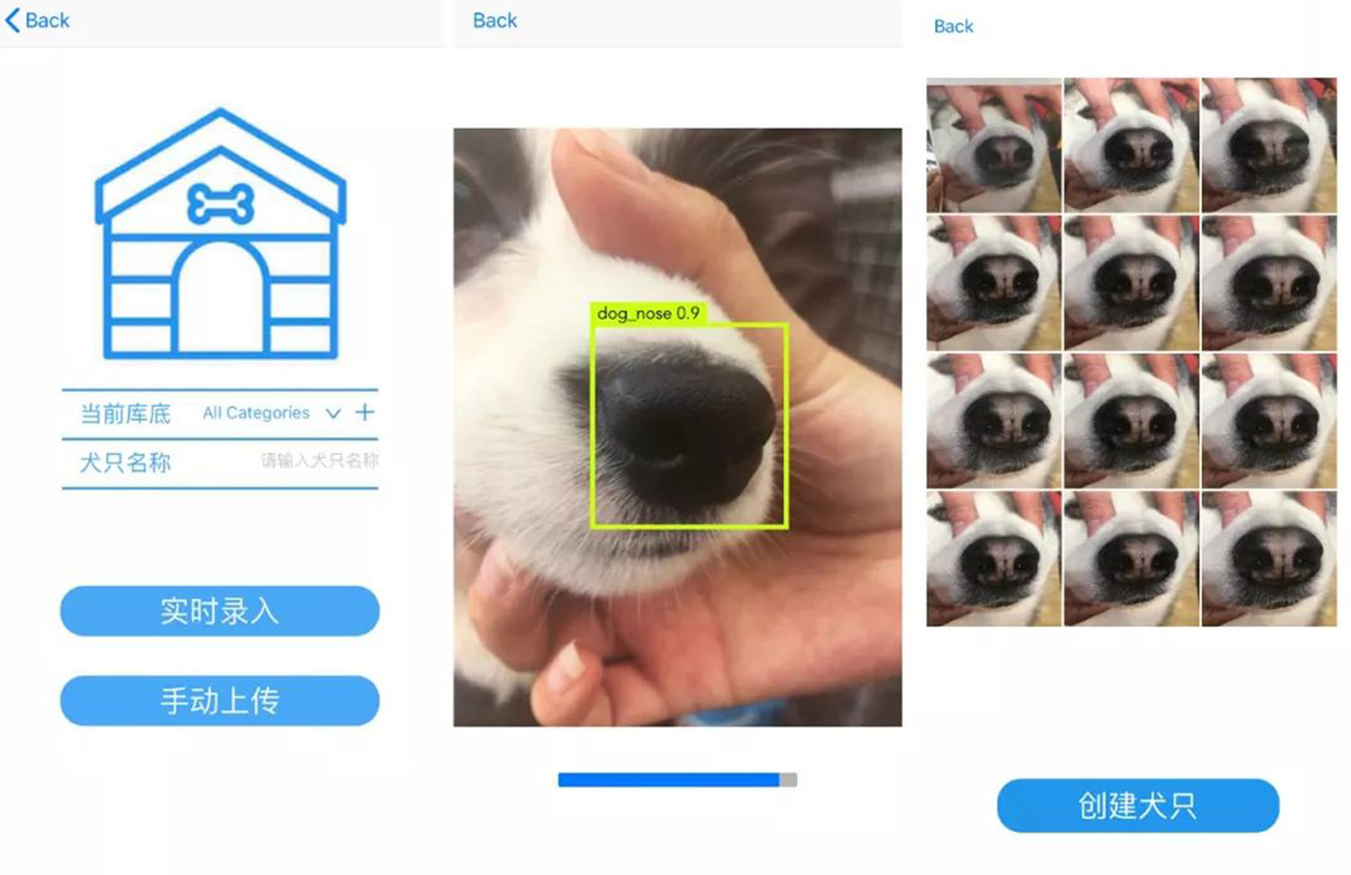 perro
