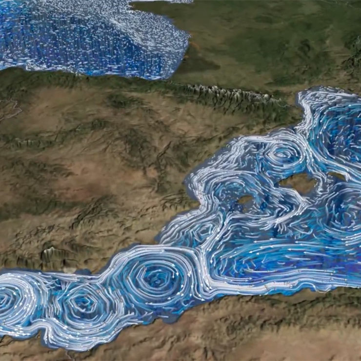 van gogh mediterraneo