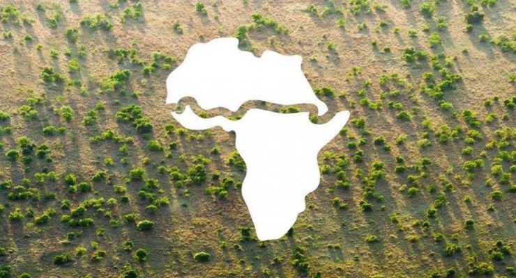 Green Wall: una gran cadena de árboles del oeste al este de África.