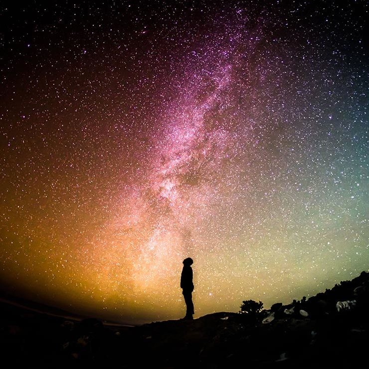 leyes universales de la vida
