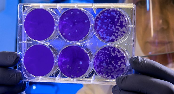 halicina farmaco deeplearning