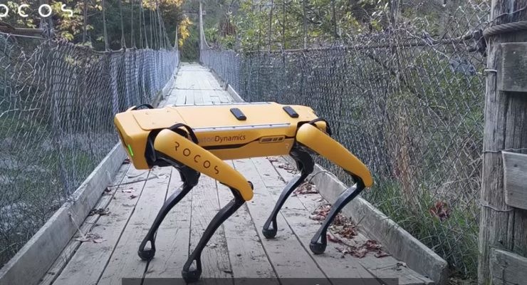 robot