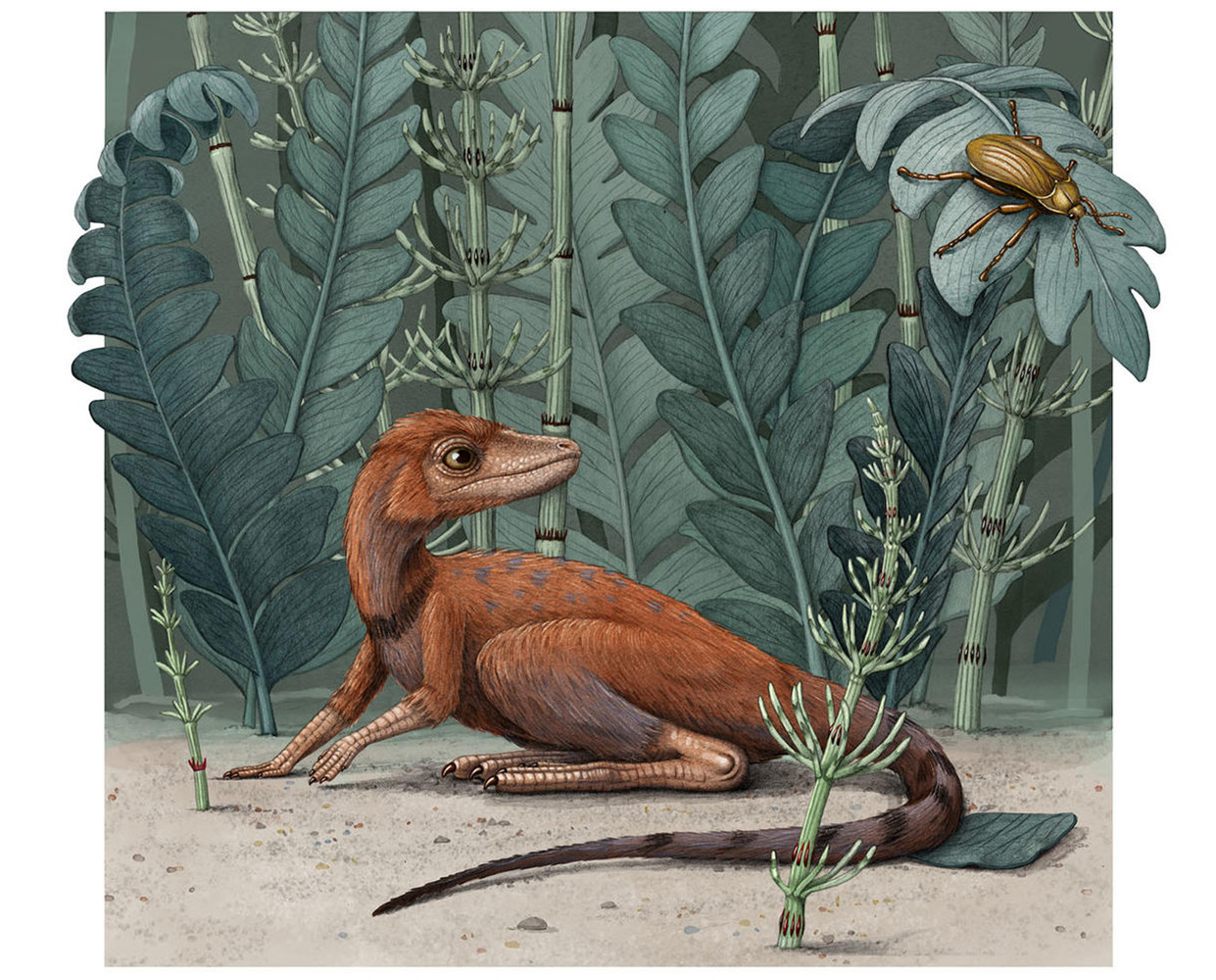 dinosaurio pequeño