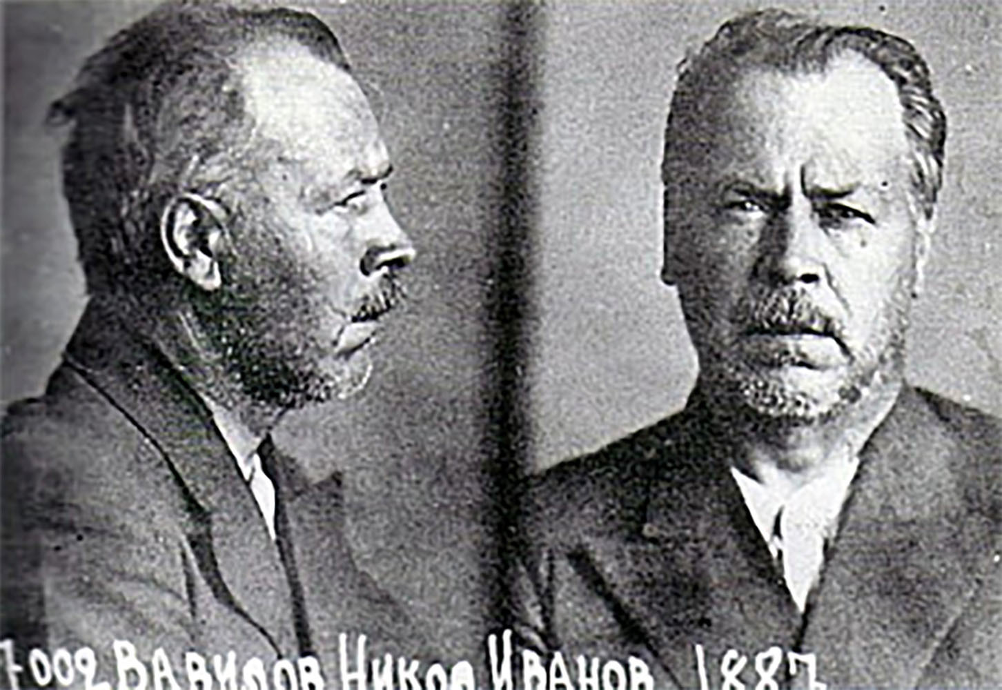 Imagen de Nikolái Vavílov en prisión