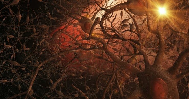 cerebro