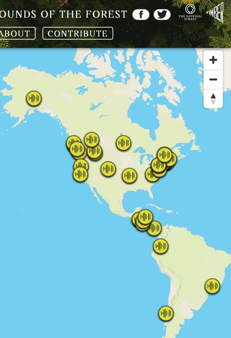 Un mapa sonoro para sentir la naturaleza a pesar de la pandemia Un mapa sonoro para sentir la naturaleza a pesar de la pandemia