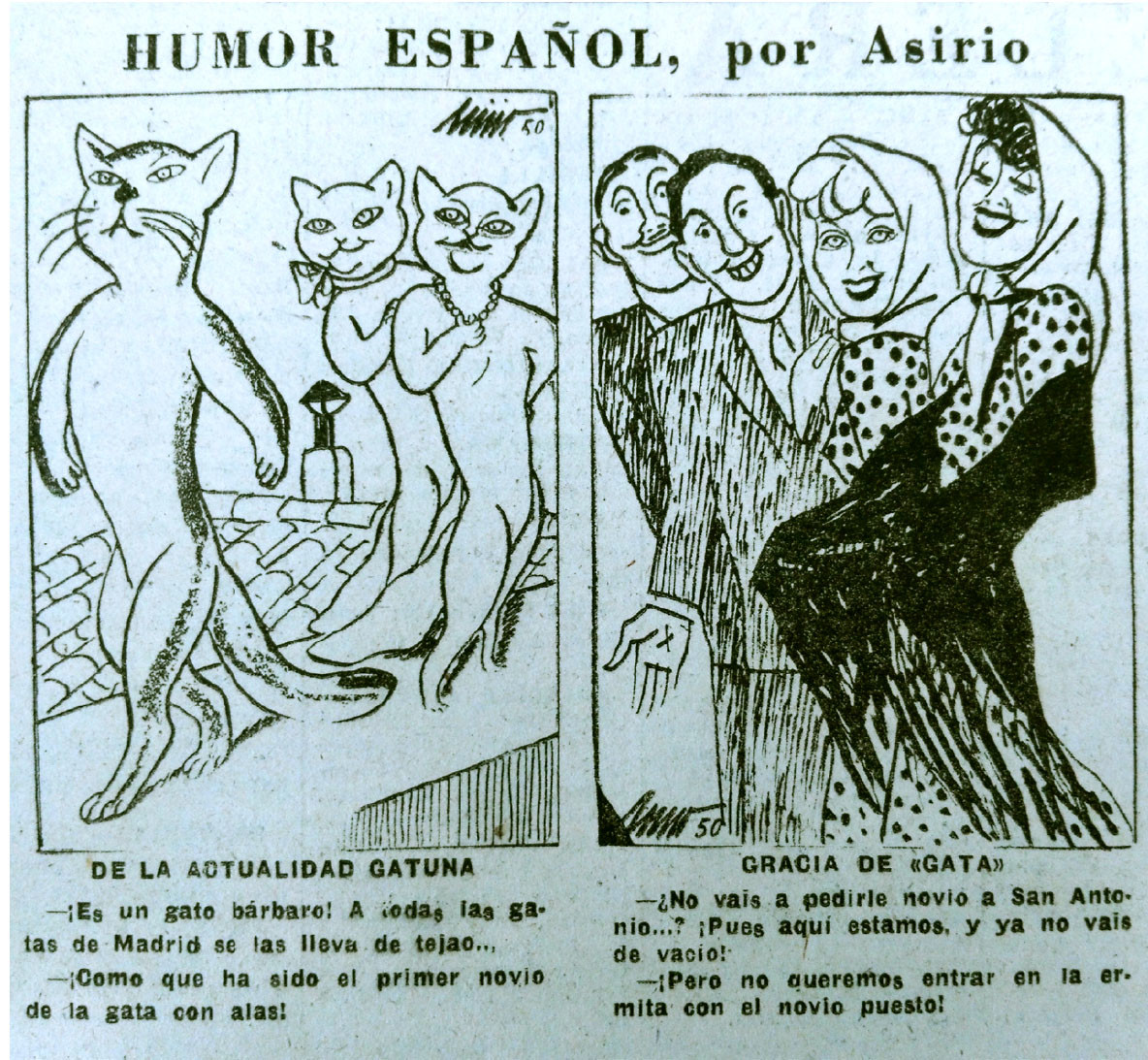 gatos con alas