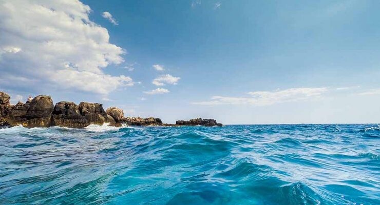 Un informe reciente de WWF señala que el Mediterráneo se tropicaliza, mientras otro de la ESA indica que el Ártico se tropicaliza.