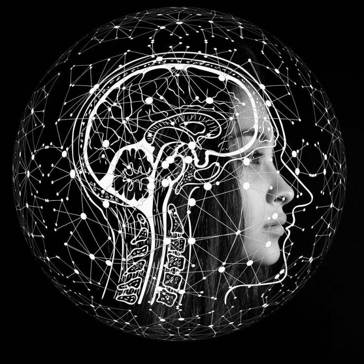 Qué es la neuroeducación