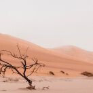 calentamiento global inevitable