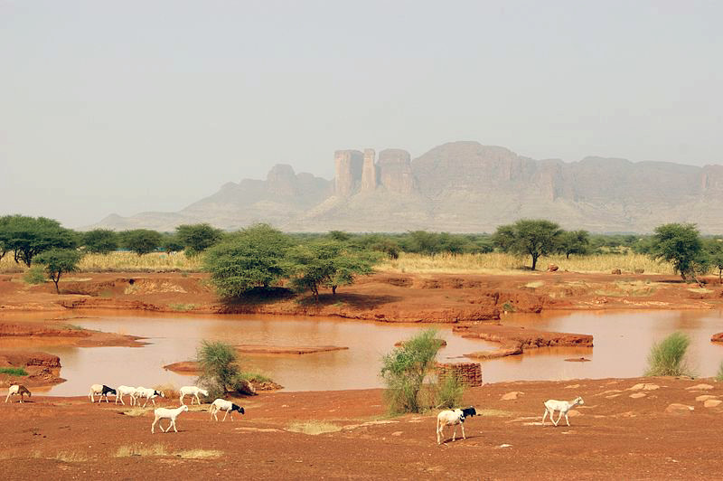 La lluvia que no vuelve África verde