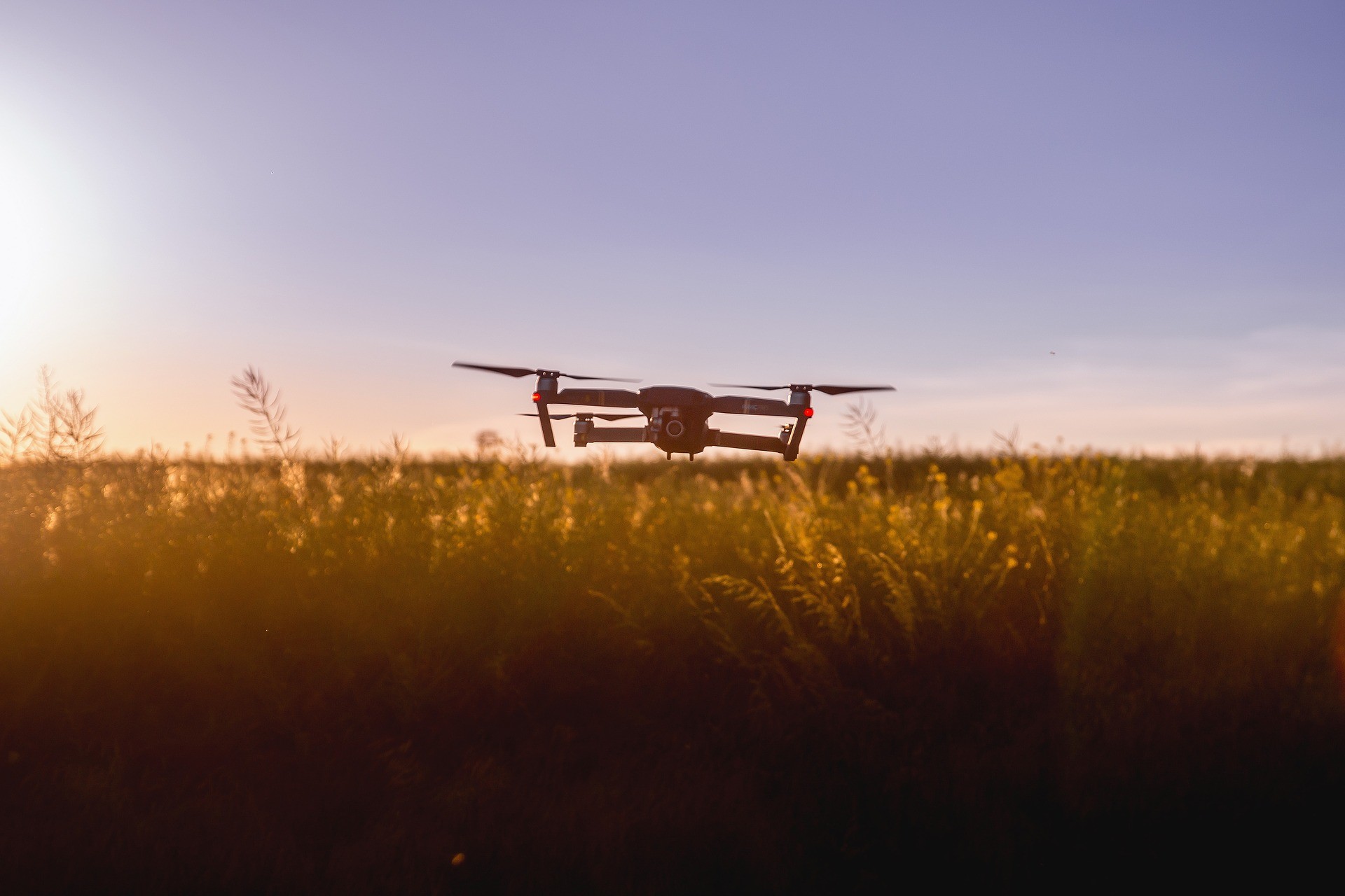 detectives de drones