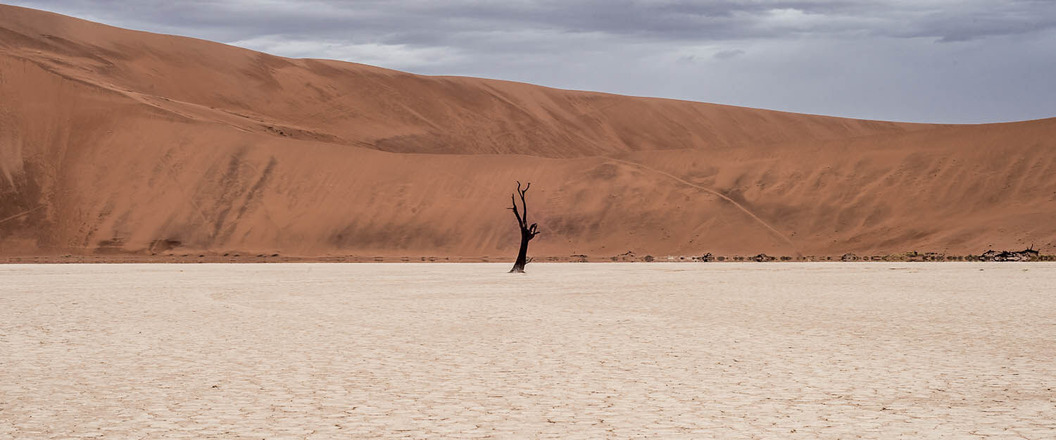 MareNostrum y cambio climático