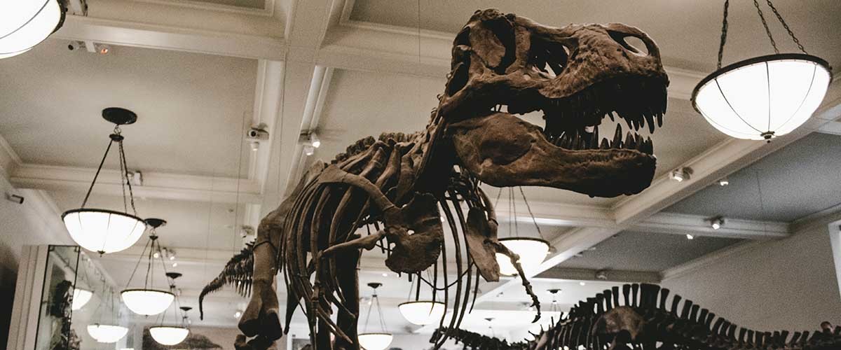 muerte de los dinosaurios