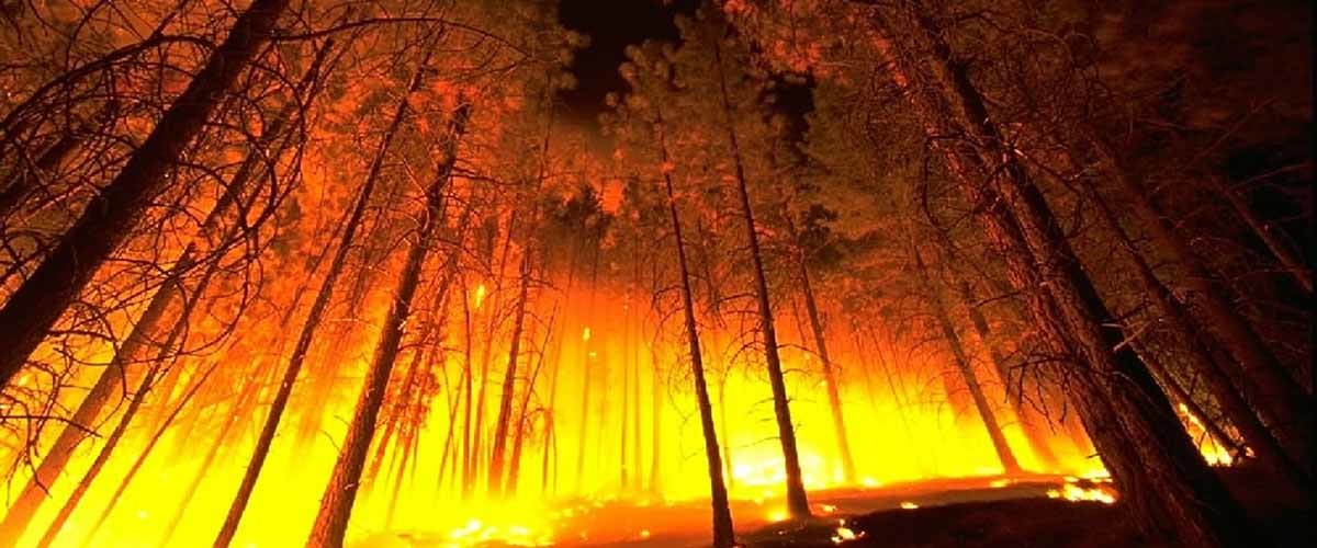 tecnología contra el fuego