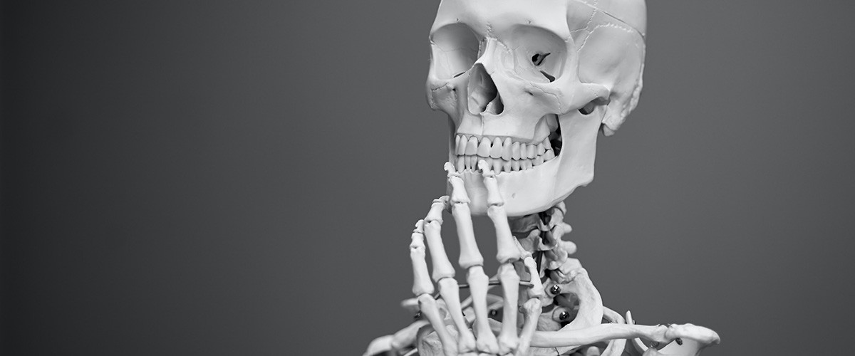 Los mejores libros sobre el cuerpo humano.