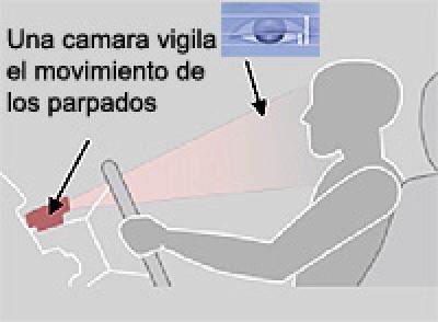 parpados.jpg