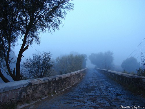 masniebla.jpg