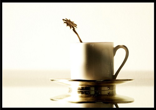 cafetito.jpg