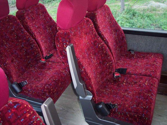 cinturon-autobus.jpg