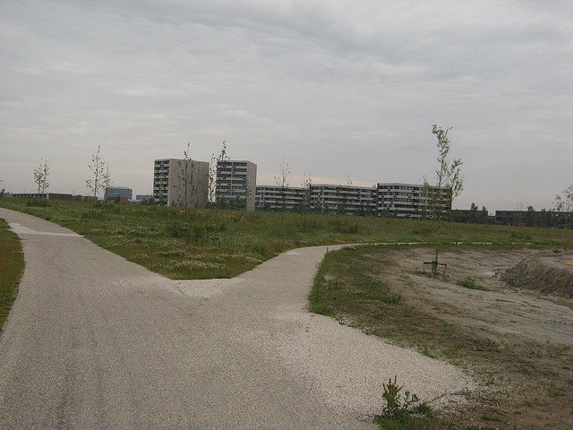 Fusión de caminos