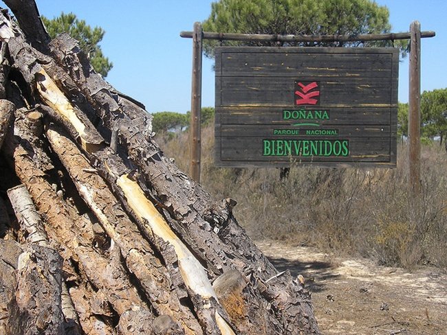 Bienvenido a Doñana