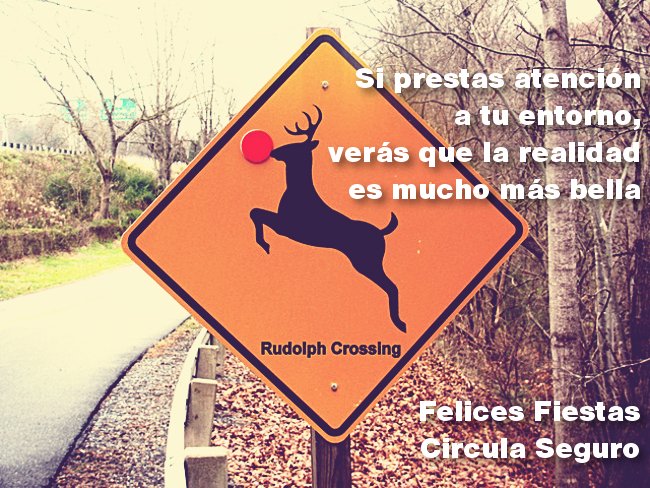 Feliz Navidad con Circula Seguro