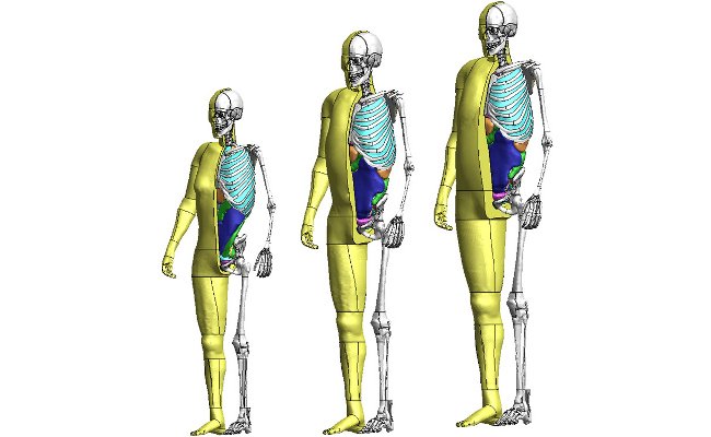 Dummies de Toyota