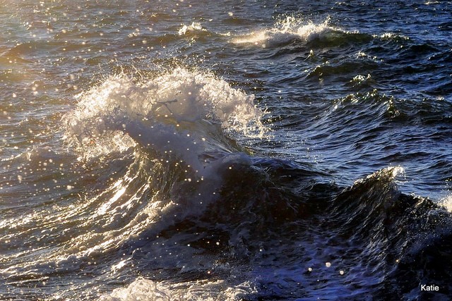 La Física de las olas del mar no es muy diferente a las ondas de velocidad en atascos.