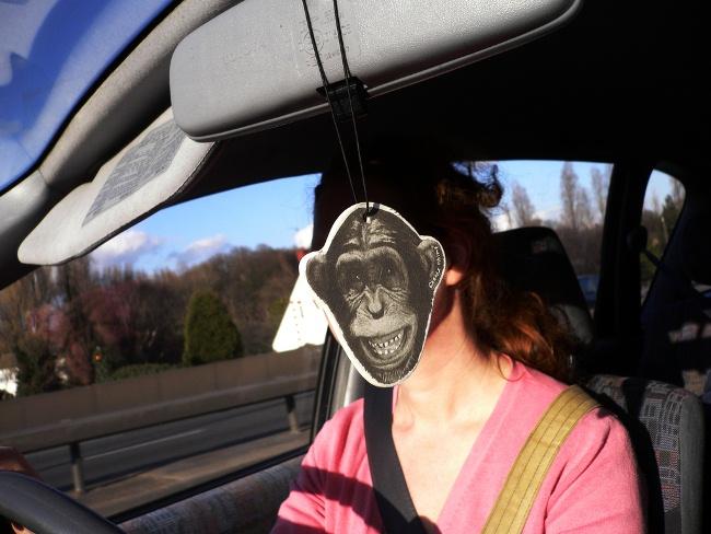 Mono al volante