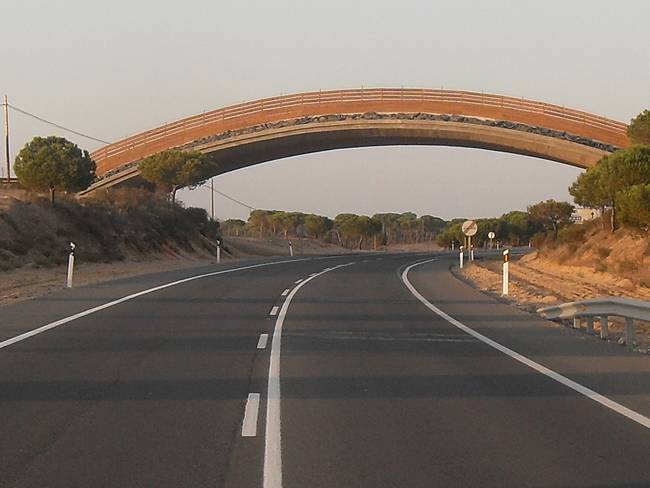 Carretera secundaria