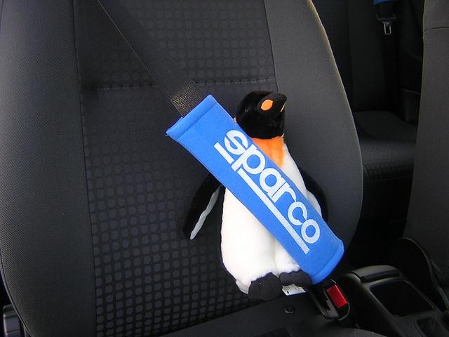 Cinturón de seguridad