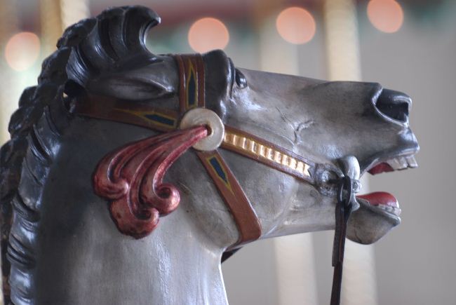Caballo tiovivo