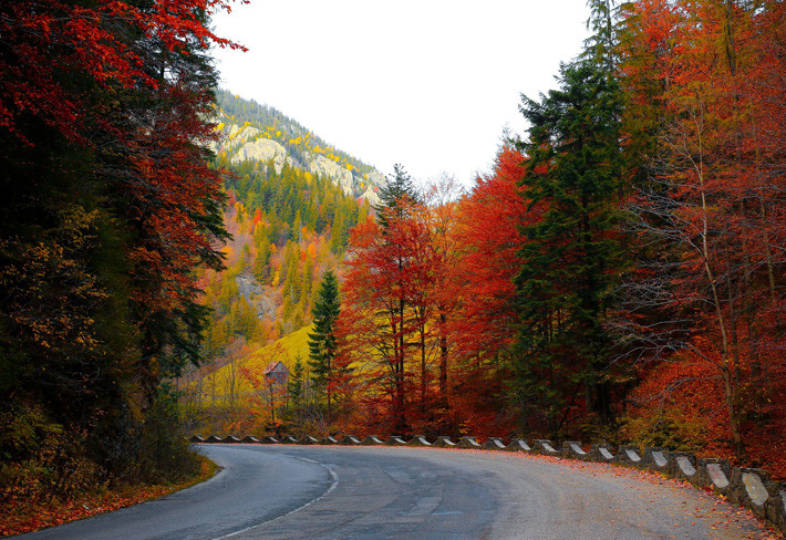 otoño carretera