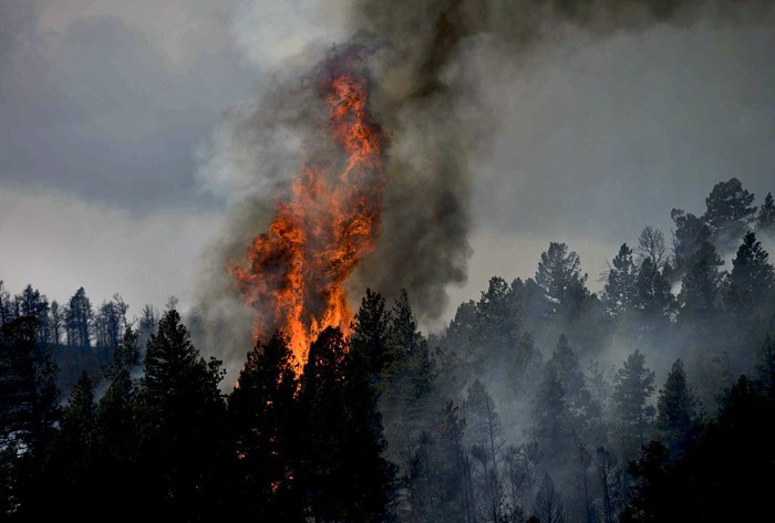 Condução em zona de incêndios