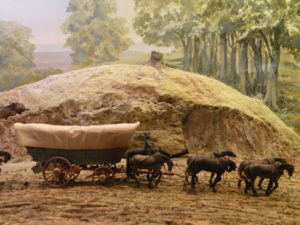 conestogawagon041