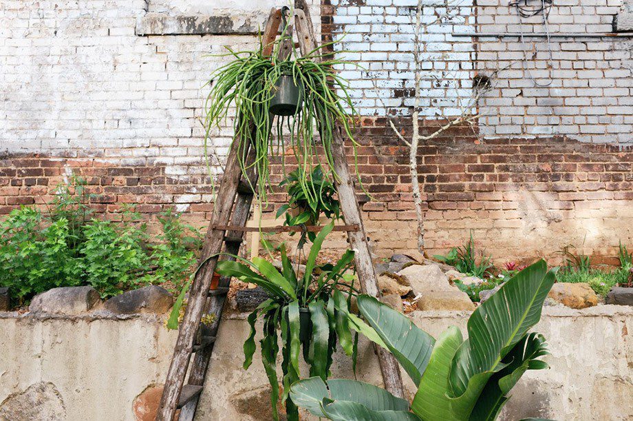 Foto: Green & Ground