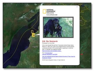 national google earth