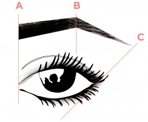 esquema-cejas-Benefit-300x247