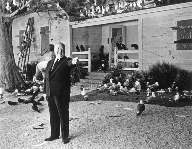 Los Pajaros Alfred Hitchcock