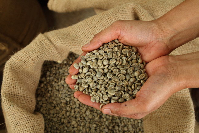 cafe verde en grano
