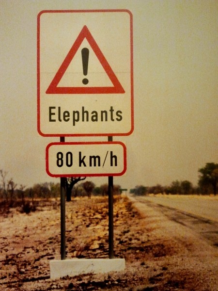 cartel elefantes